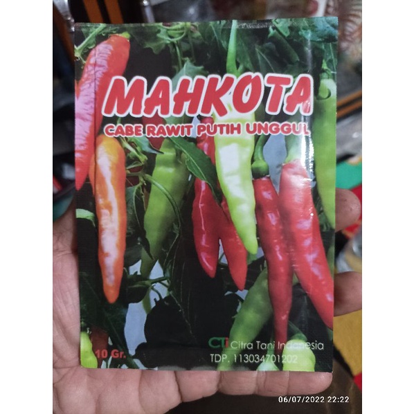 Benih/Bibit Cabe NANO Cabe rawit NANO Jumbo Mahkota Buah besar pedas Cabe setan