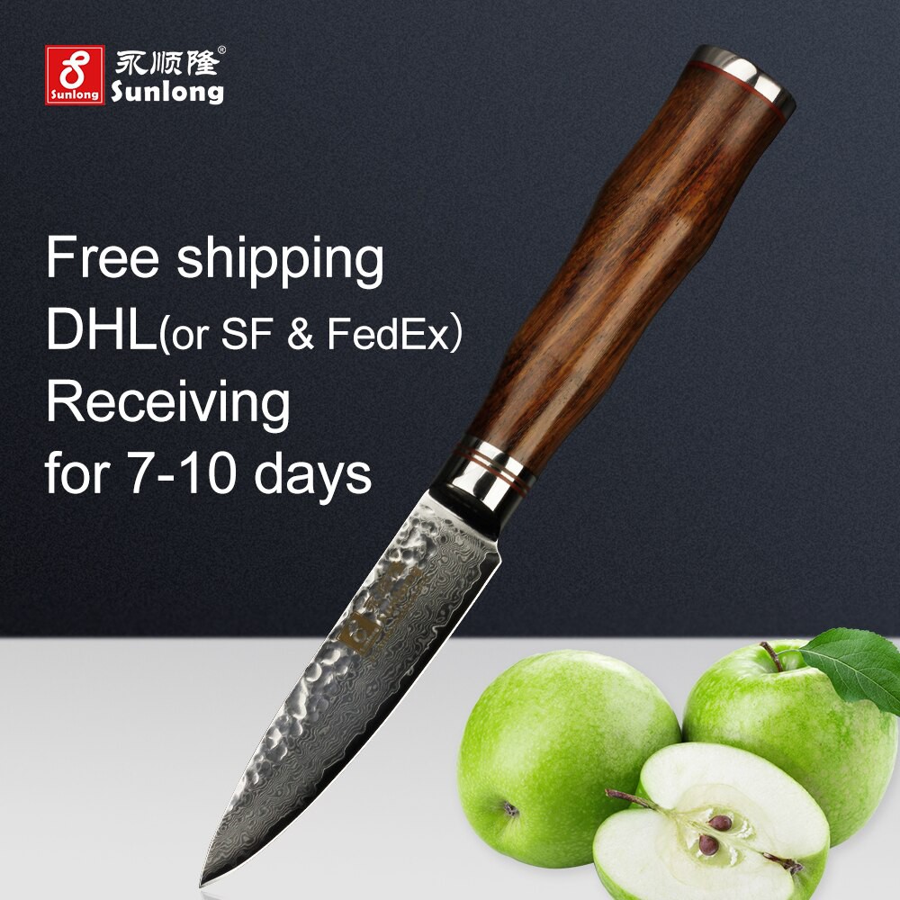 Sunlong 3.5 inch Paring knife Japanese VG10 steel core Damascus steel fruit knife Pattern steel