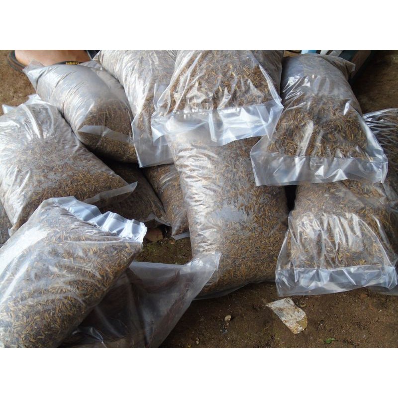 Pupuk Organik Kotoran Ayam