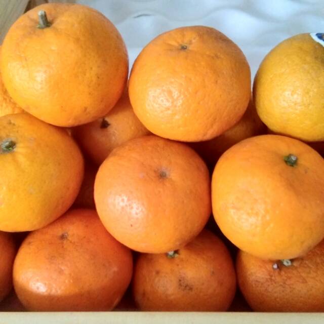

Murcrot kecil manis per kilo