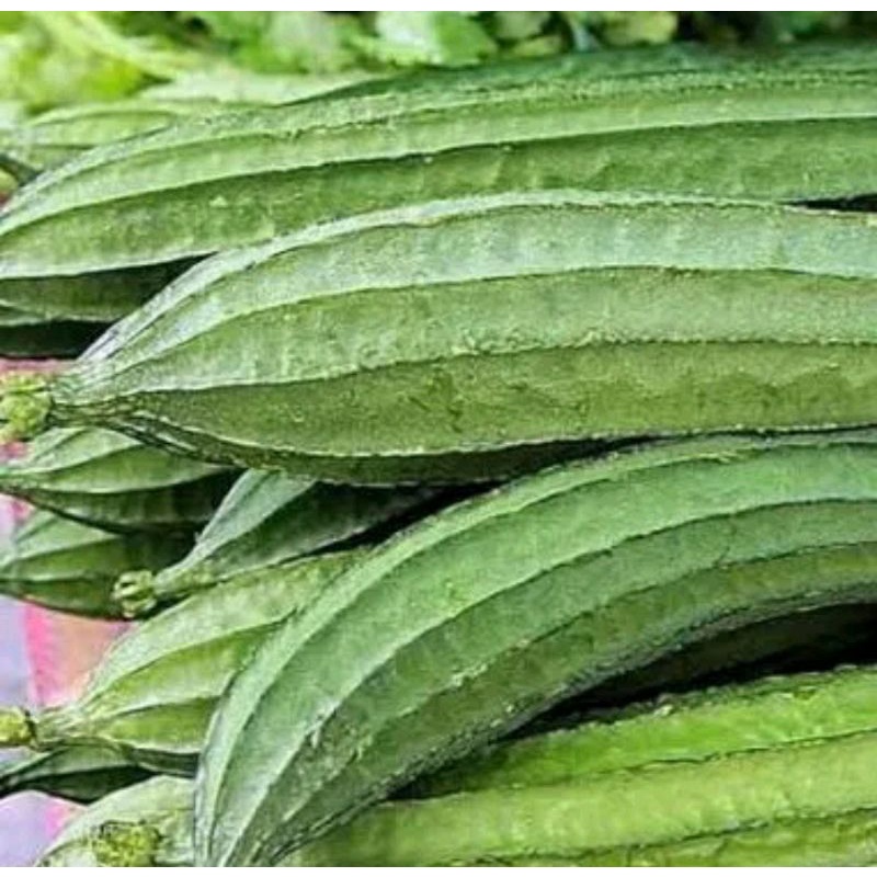 

oyong/kimput sayur 500 gram