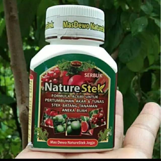 Nature stek_ penumbuh akar stek batang MURAH