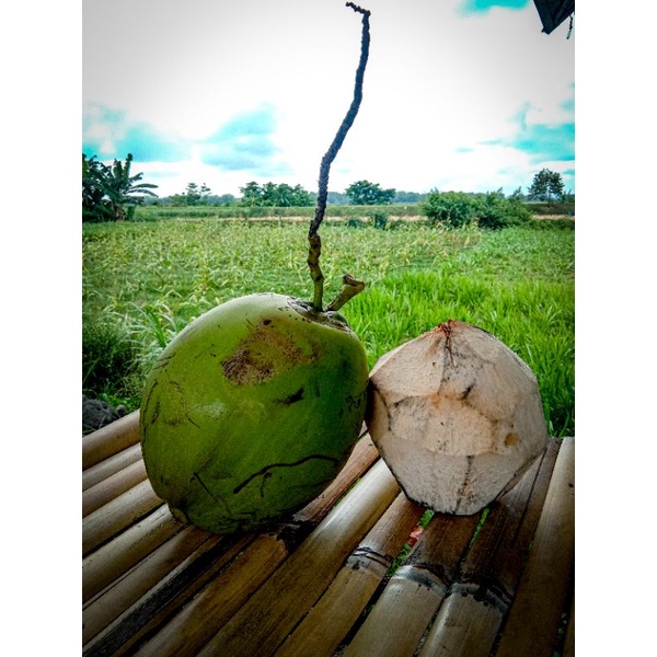 

Kelapa Muda fres / Degan Ijo