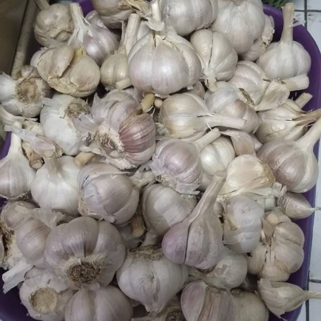 

BAWANG PUTIH KATING