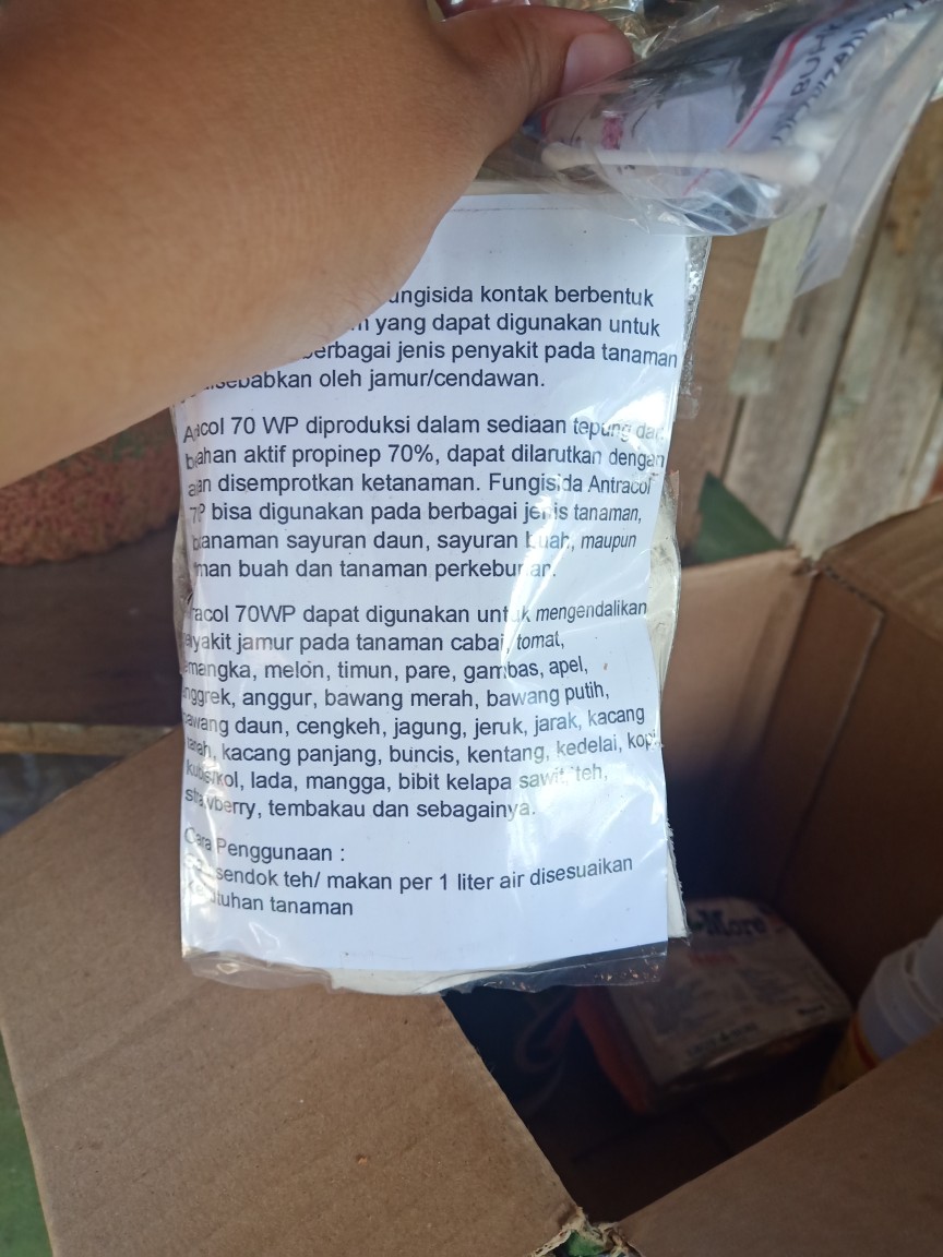 Tali Sabut Kelapa Panjang 50 Meter/tali Anggrek/tali Pengikat Tanaman/tali Dekorasi