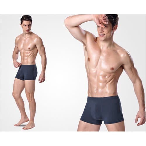 CELANA DALAM PRIA / BOXER BAHAN KATUN BAMBOO FIBER/01# CD TRANSPARAN KUALITAS TERBAIK