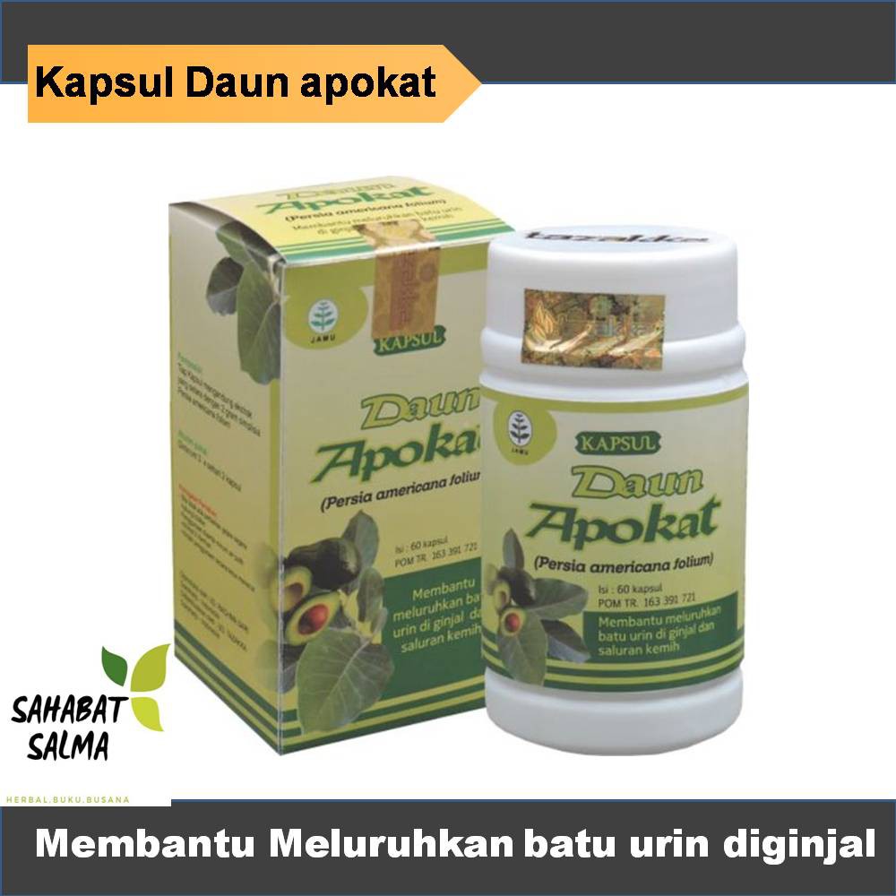 

Kapsul Daun Apokat Tazakka Membantu Mengobati Batu Ginjal