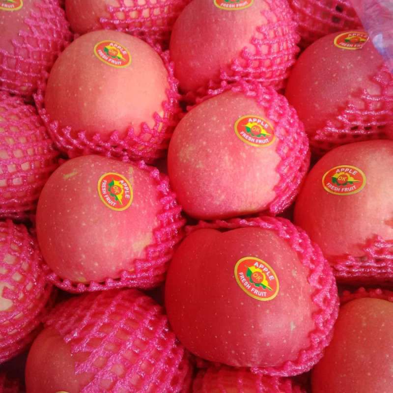 

Area Medan// MoMo Apple Fuji Cina Super Besar Manis// 29500