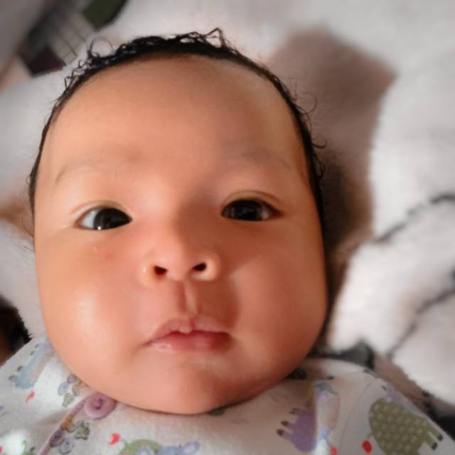 wanilaafzal08