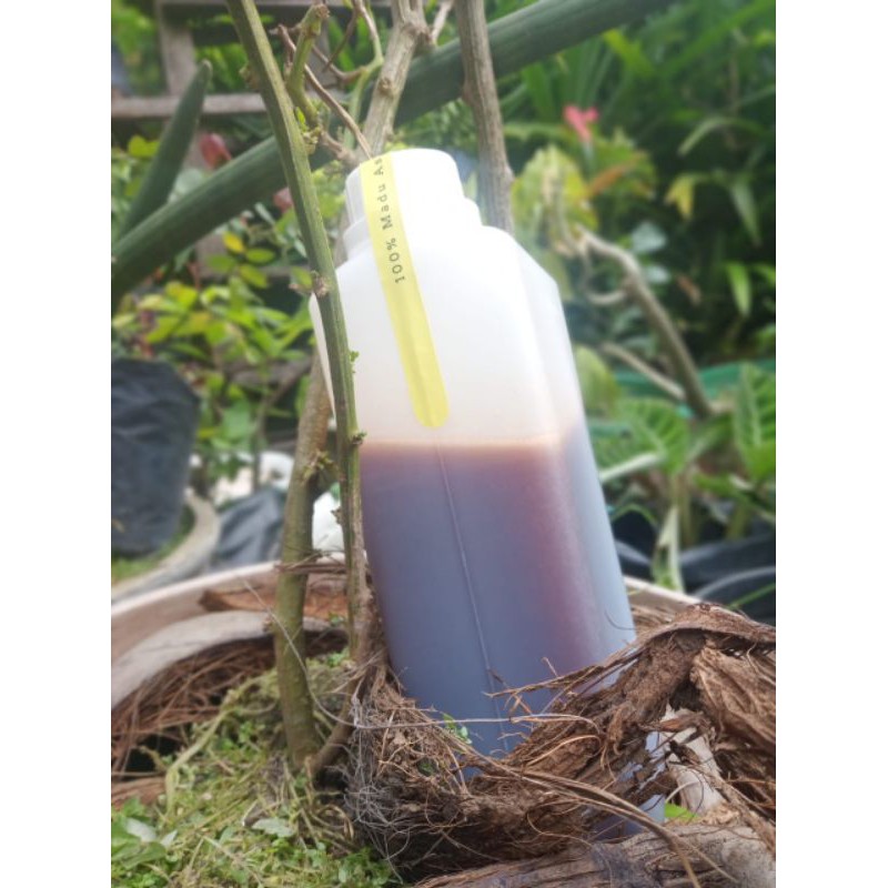 

madu murni ukuran 1kg