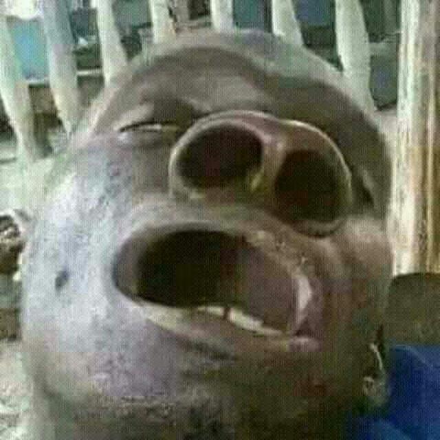 Ff-k1784 Celemek Apron Waterproof Termurah / Celemek Masak Anti Air Motif Lucu Terlaris