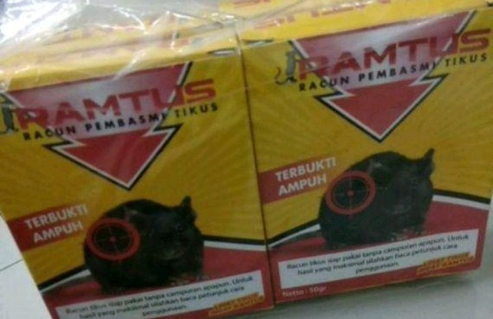 Ramtus Obat Racun Tikus Langsung Mati Kering Tidak Bau Sangat Ampuh Racun Pembasmi Tikus 6 Pack