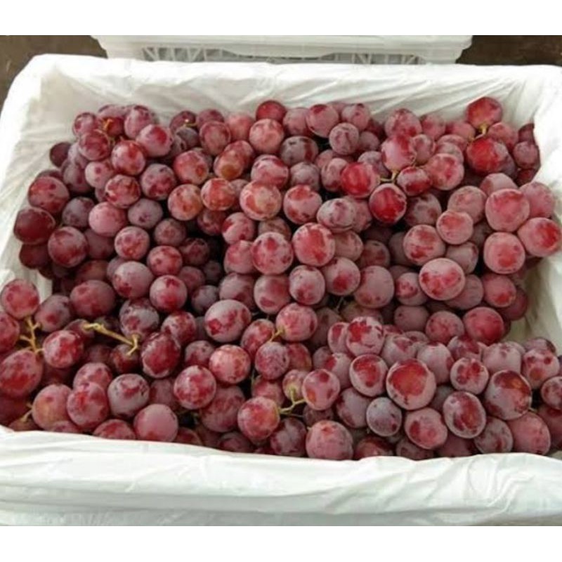 

Anggur rrc 500 gr