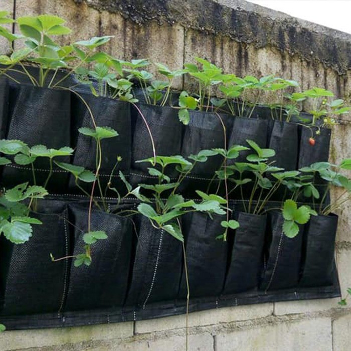 Planter Bag Dinding 16 Kantong