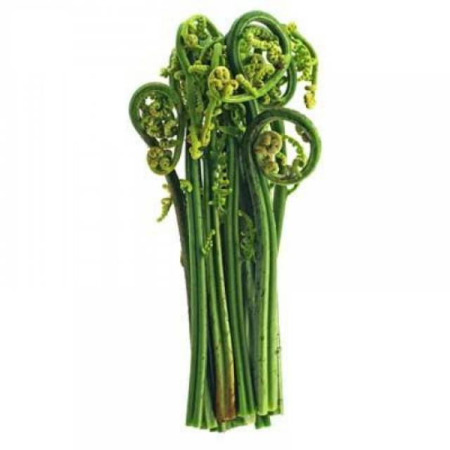 

Sayur pakis segar 500gram pakis sayur muda siap masak