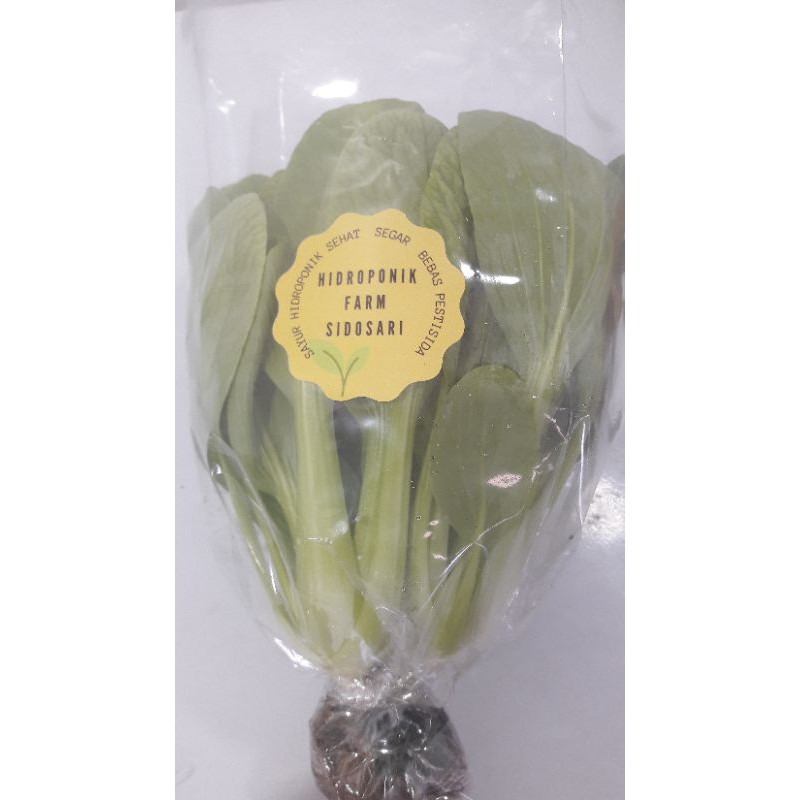 

Pokcoy Hidroponik Organik 250 gr