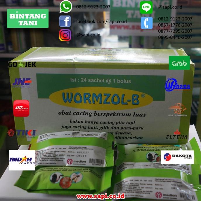 siap kirim] Wormzole Bolus (Obat Cacing Berspektrum Luas Untuk Ternak)