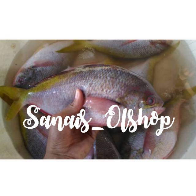 

Ikan ekor kuning segar