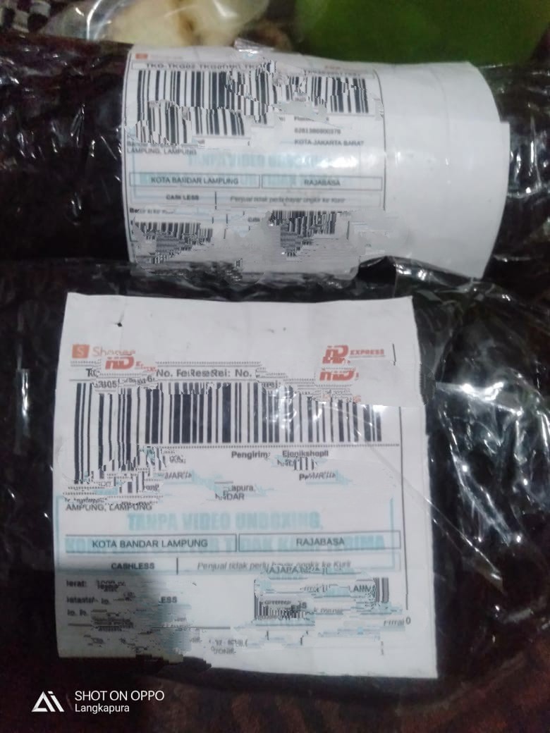 Benih Bayam Hijau - 3036