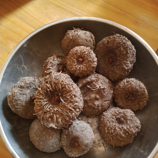 Umbi porang pilihan satu kilo isi 30/50