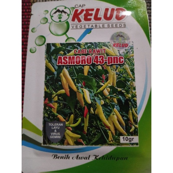 cabe rawit Asmoro 43-png