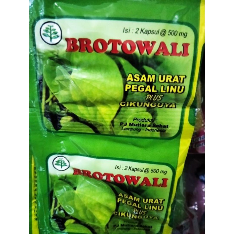 OBAT ASAM URAT BROTOWALI KAPSUL