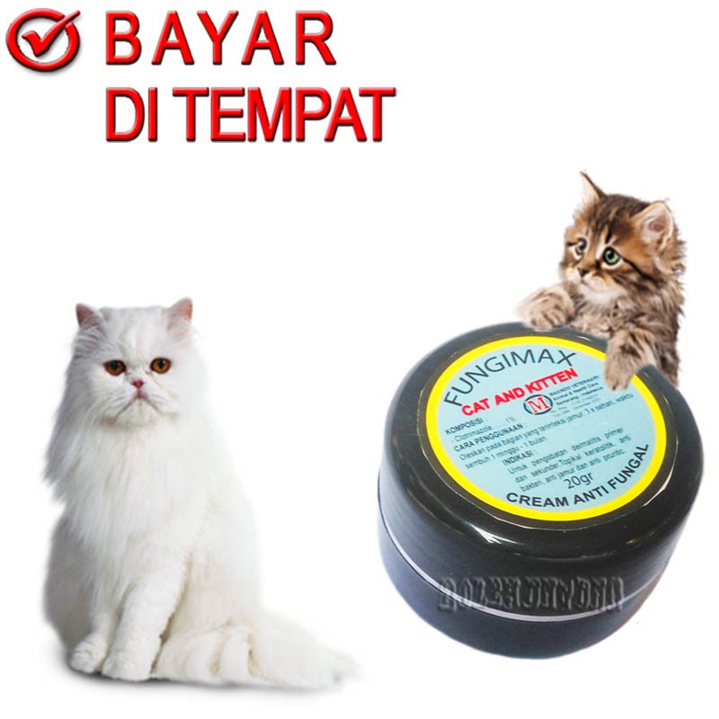 FUNGIMAX CREAM OBAT JAMUR KUCING SALEP SCARDIX KITTEN KORENG BUDUK