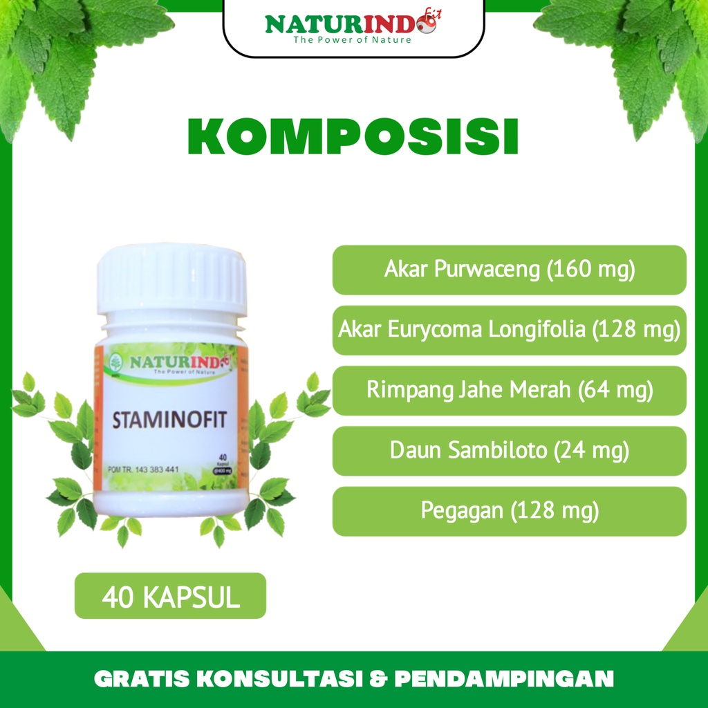 Obat Herbal Ejakulasi Dini Atasi Sperma Encer Lemah Syahwat Disfungsi Ereksi  Staminofit Naturindo Bpom Halal Tanpa Efek Samping-2