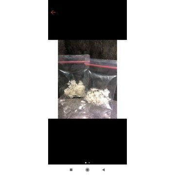 

Sarang Burung Walet Serpih 5 Gram Bersih