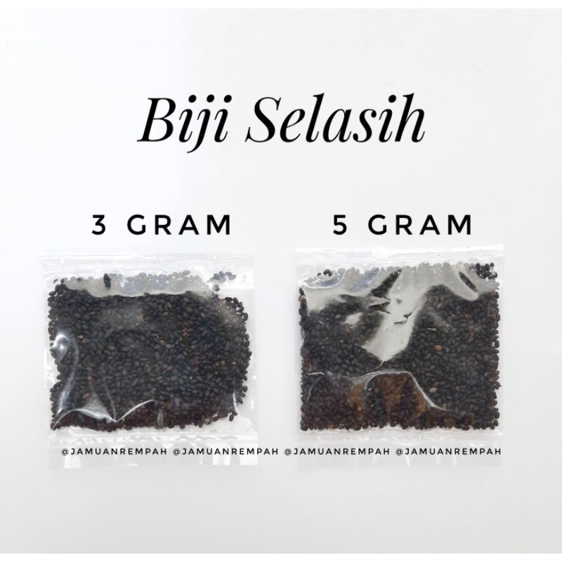 

Selasih Ecer / Basil / Herbal Panas Dalam