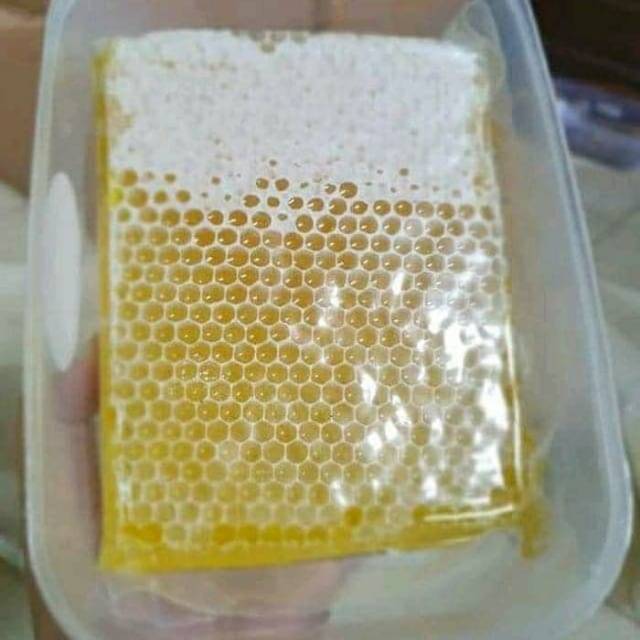 

Madu Sarang / Sarang Madu Lebah / Madu sarang 250 gr