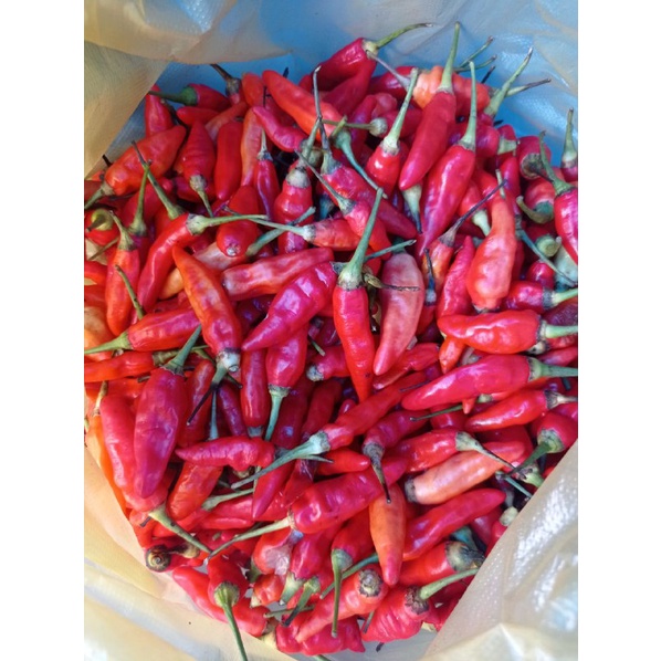 

Cabe Rawit/Cablak / 100gr