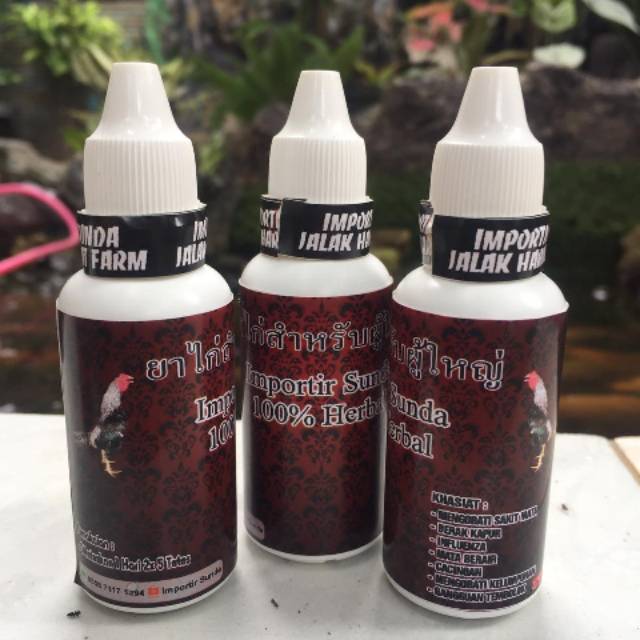 Obat tetes mata ayam