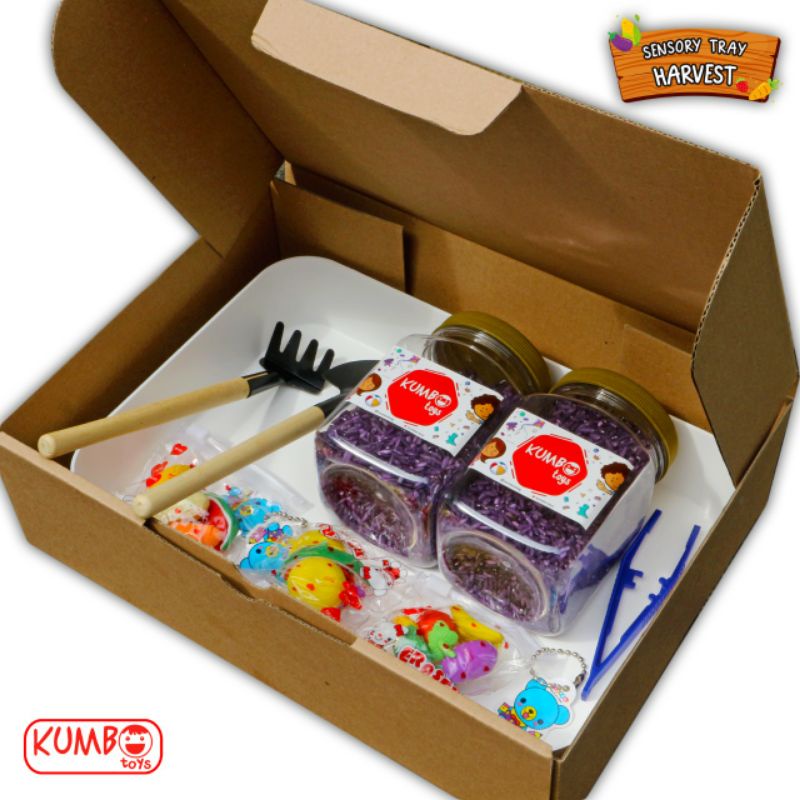 Sensory Tray Sensory Play Mainan Montessori Cocok Untuk Hampers Hadiah Kado