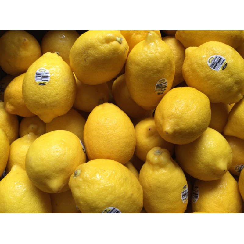 Lemon Import Segar - Lebih Banyak Air dan Menarik | Lemon Alpucado