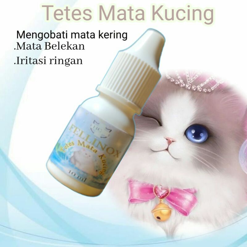 Tetes mata kucing belekan iritasi