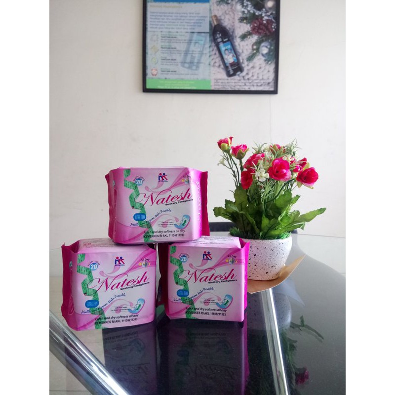 PAKET Hemat Pembalut Natesh Pantyliner 15pcs Day Siang 12pcs Night Malam 10pcs ANION KK Indonesia