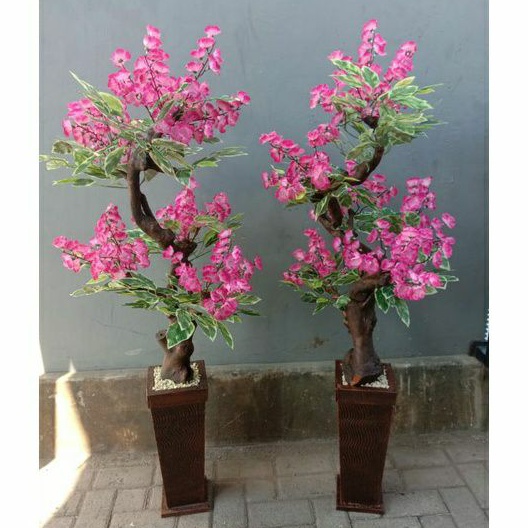 Bunga Sudut Pohon Berbunga/Sakura Group