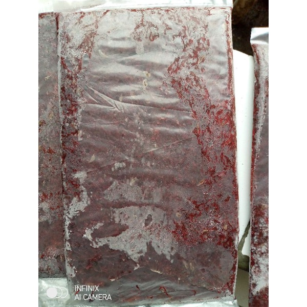 cacing beku-bloodworm-cacing darah-plangton 1kg