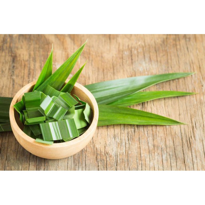 

Daun Pandan Wangi Fresh - Untuk Membuat Takjil Di Bulan Ramadhan
