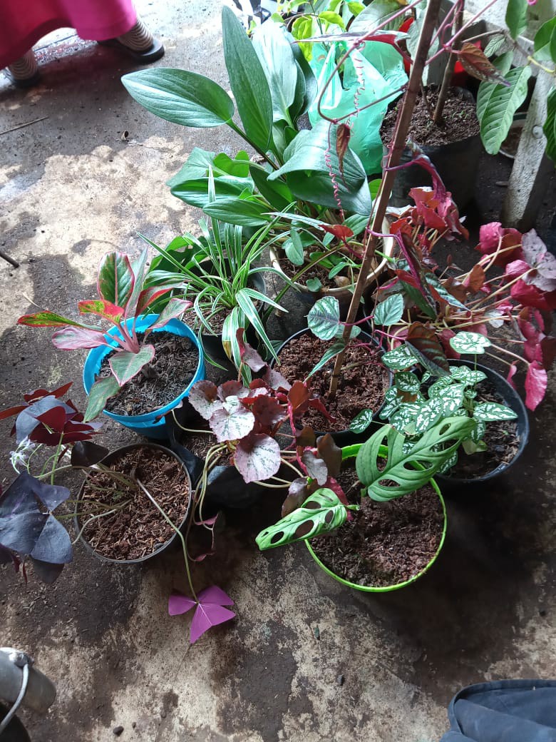 Sarung Tangan Tukang / Kebun / Sarung Tangan Kain Benang Rajut Abu-abu