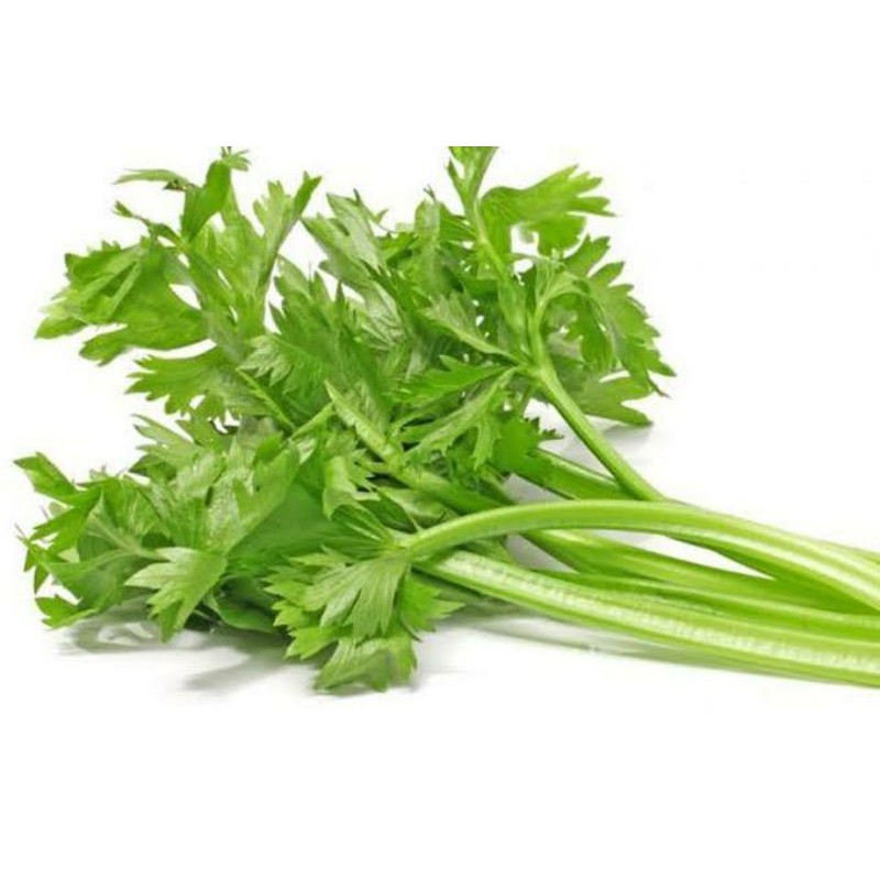 

daun seledri