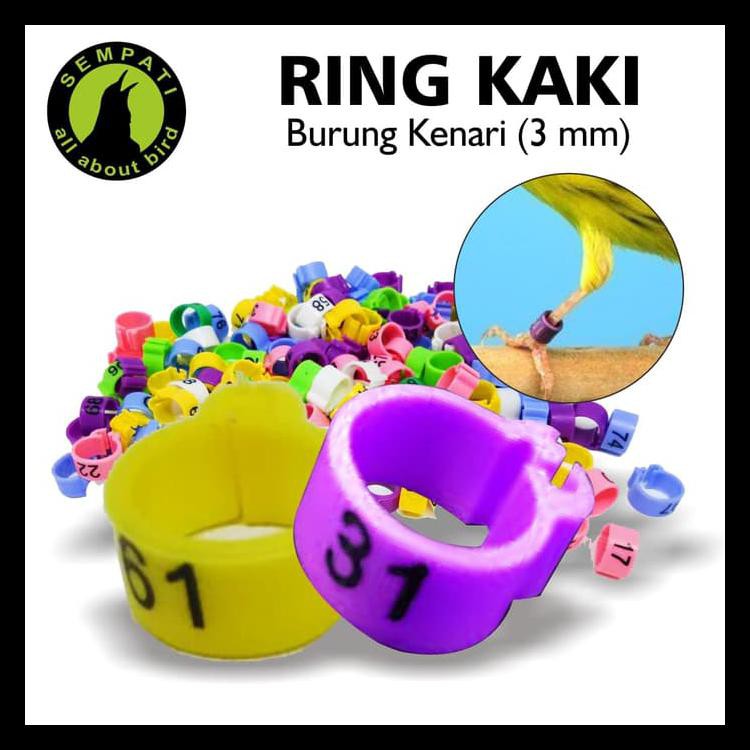 Readystock Ring Jepit 3 Mm Untuk Kaki Burung Kenari Ready Stock