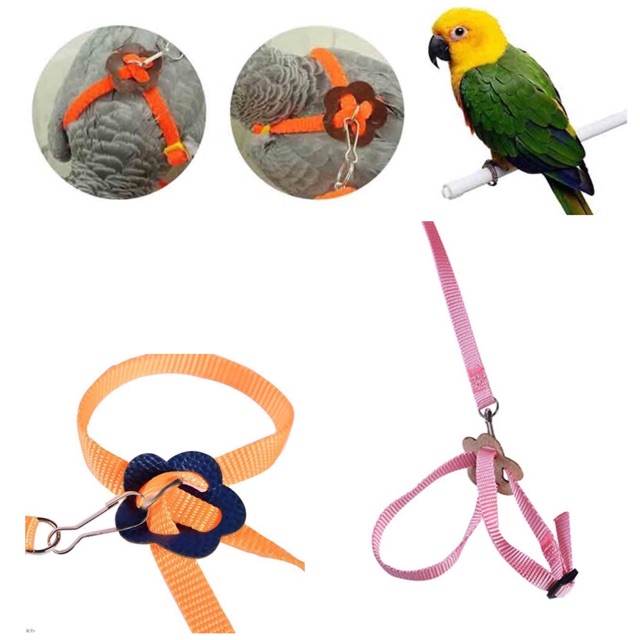 HARNESS BURUNG HARNESS KURA-KURA HARNESS GECKO HARNESS HAMSTER HARNES HEWAN TALI TUNTUN HEWAN MURAH