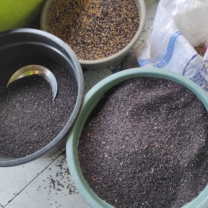 

KETAN-BERAS- BERAS KETAN HITAM 500GRAM -BERAS-KETAN.