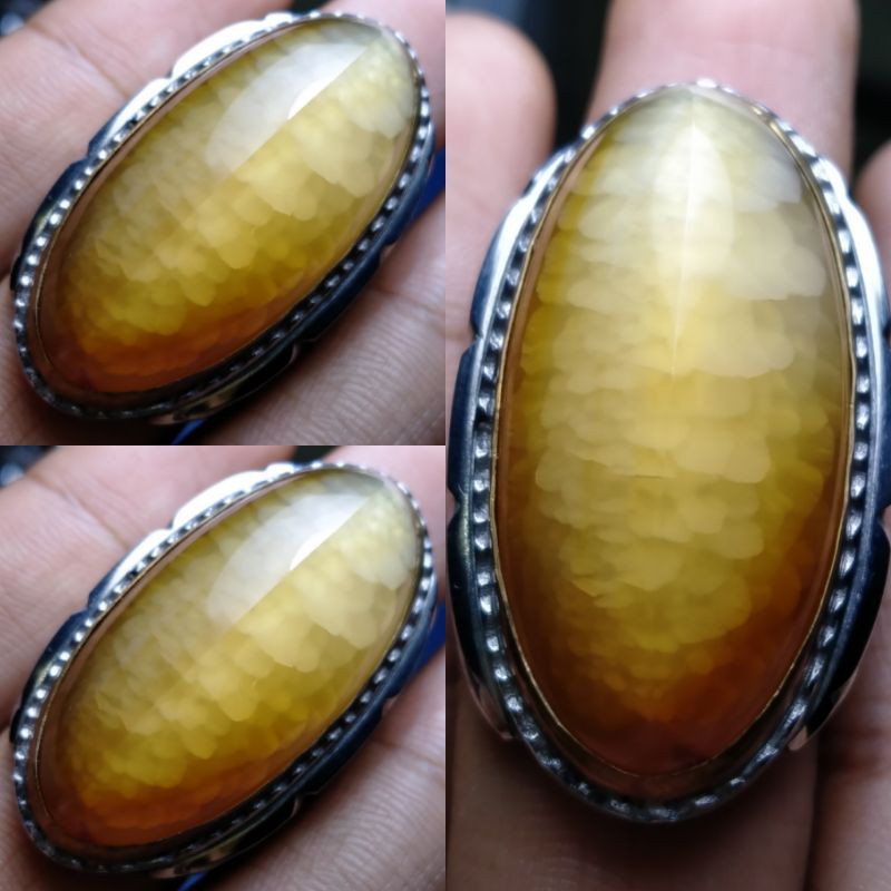 PANDAN NANAS SISIK BETIK