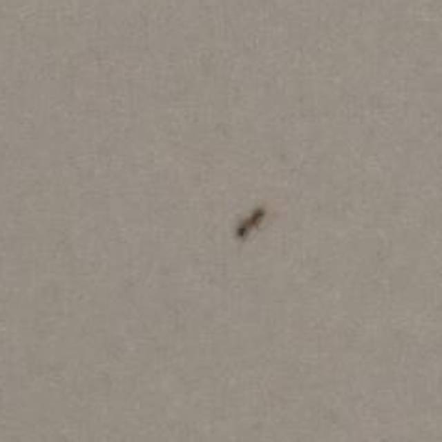 muhammad_fikriansyah