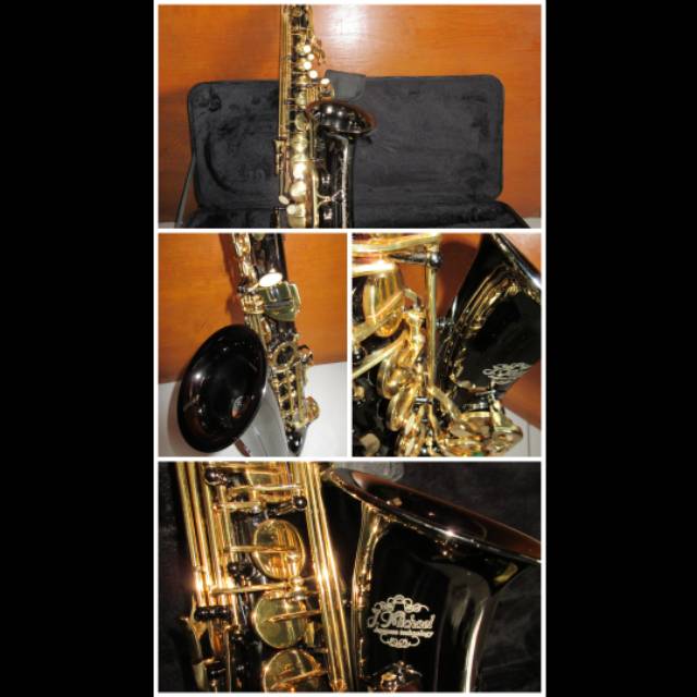 Alto Saxophone J. Michael