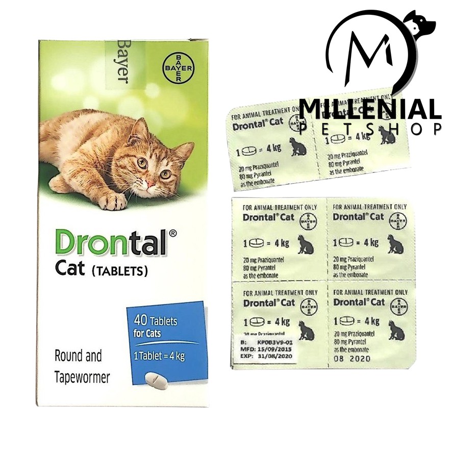 Obat Cacing Kucing Drontal Cat Per Tablet