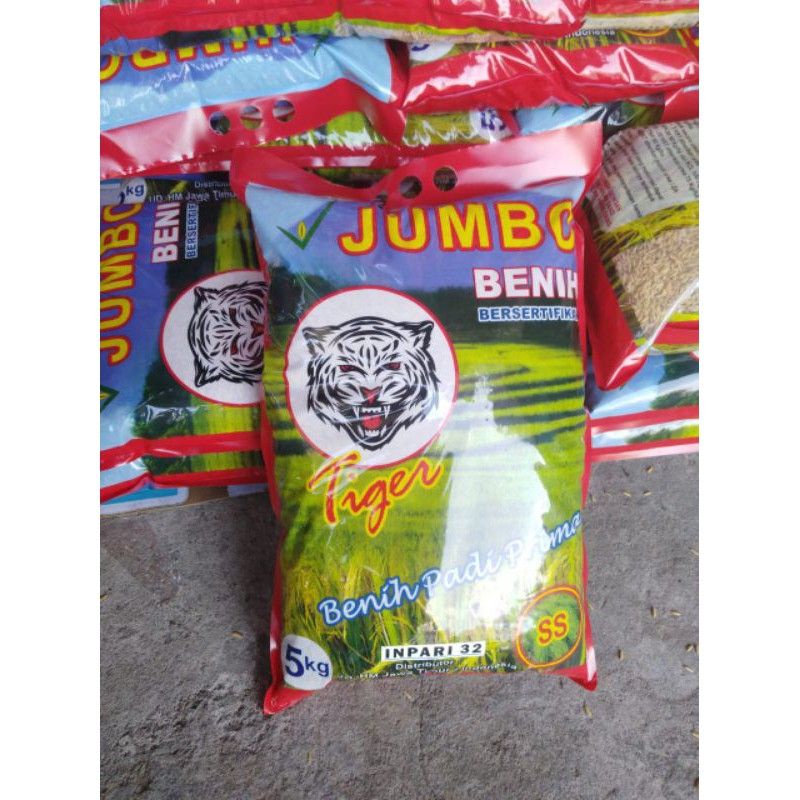 benih padi inpari 32 jumbo cibogo